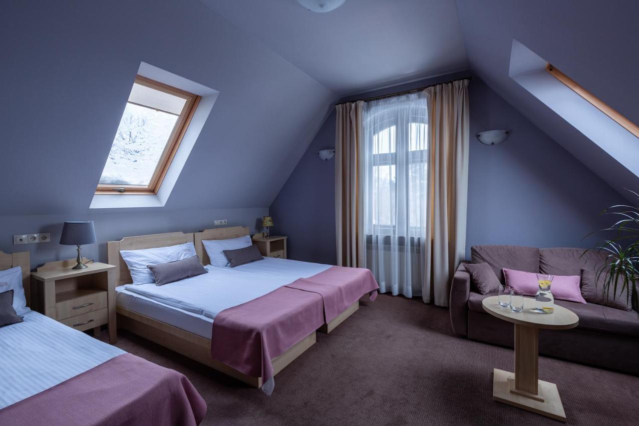 Villa Elise Park Pension Stronie Slaskie Luaran gambar