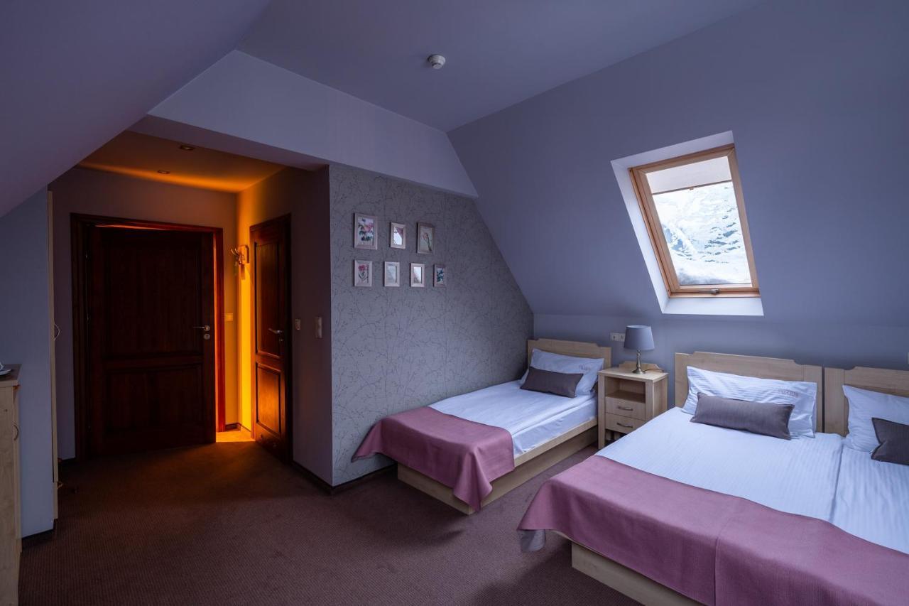 Villa Elise Park Pension Stronie Slaskie Luaran gambar